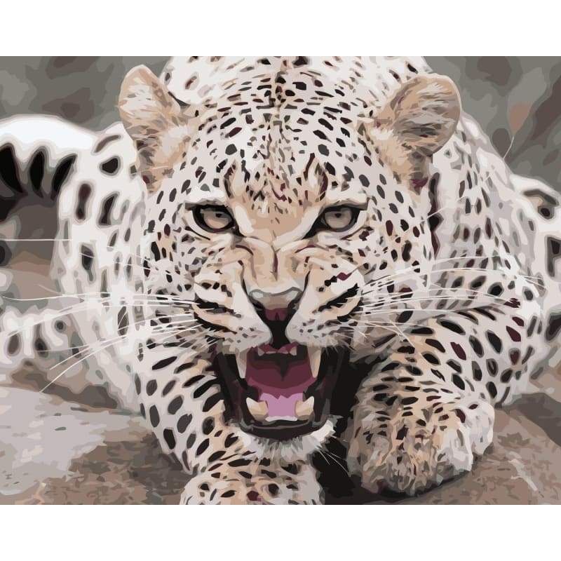 Leopard Diy Paint By Numbers Kits WM-045 - NEEDLEWORK KITS