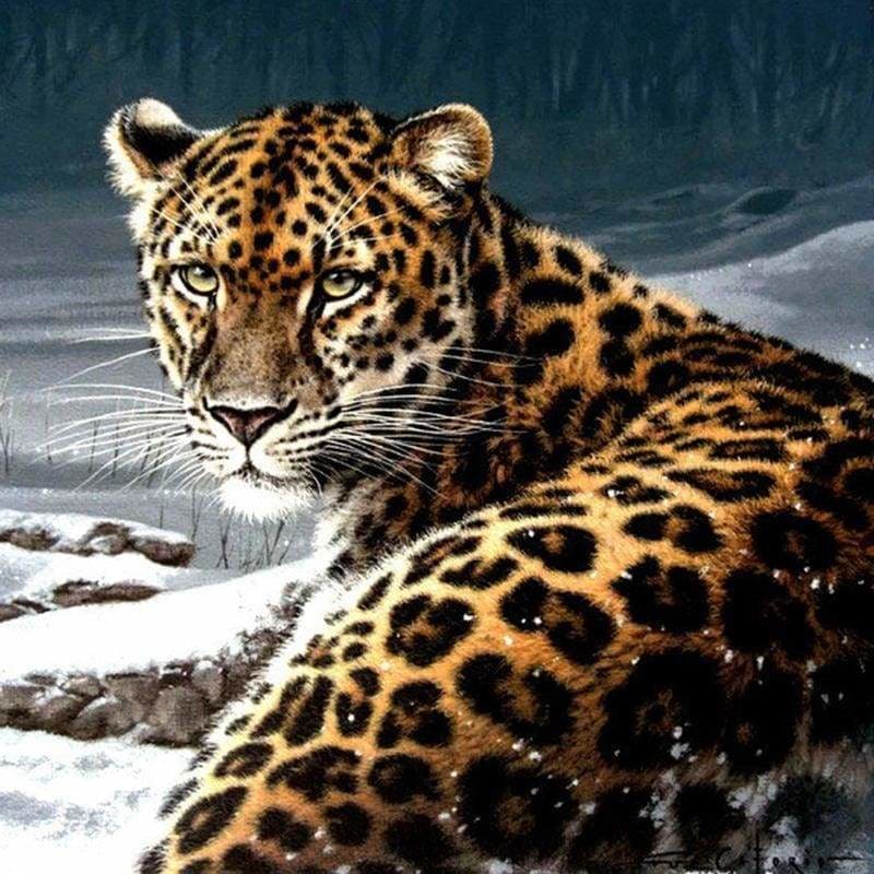 Leopard Full Drill - 5D DIY Diamond Painting Kits Arts - Z0