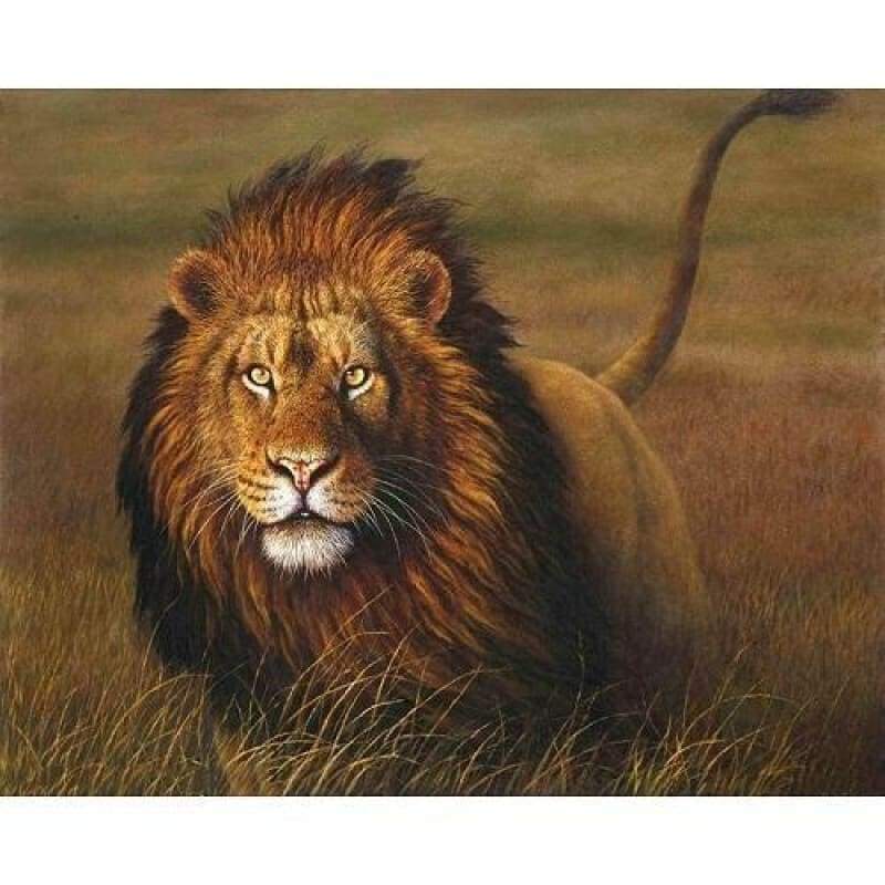 Lion Diy Paint By Numbers Kits PBN90882 - NEEDLEWORK KITS