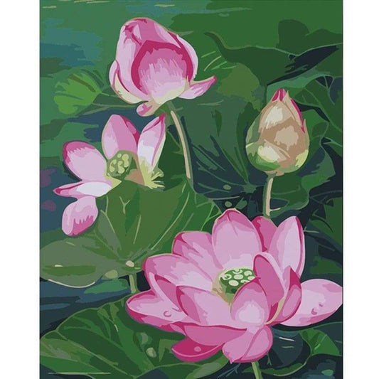 Lotus Diy Paint By Numbers Kits PBN95508 - NEEDLEWORK KITS