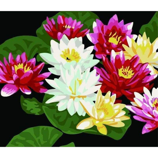 Lotus Diy Paint By Numbers Kits ZXE395 - NEEDLEWORK KITS