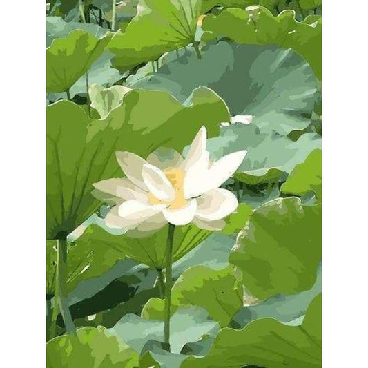 Lotus Diy Paint By Numbers Kits ZXQ055 - NEEDLEWORK KITS