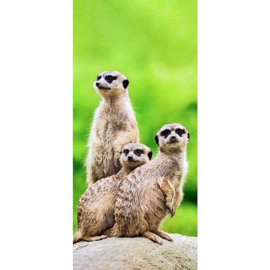 Meerkats 01- Full Drill Diamond Painting - Special Order -