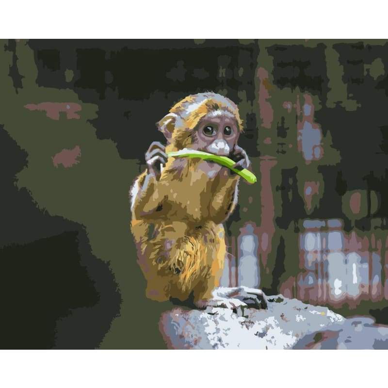 Monkey Diy Paint By Numbers Kits WM-1123 - NEEDLEWORK KITS