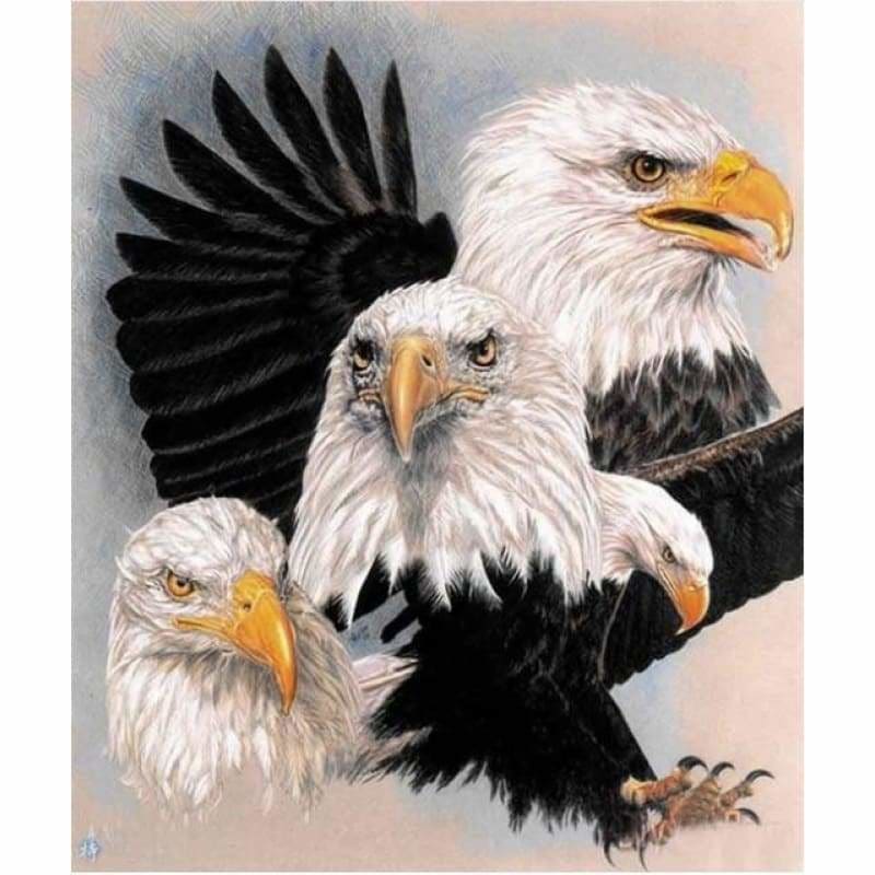 New Animal Eagle Picture Wall Decor Full Drill - 5D Diy 