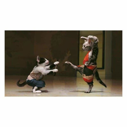 New Funny Style Cat Full Drill - 5D Diy Diamond Painting