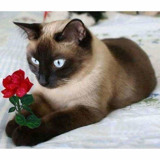 New Hot Sale Cute Cat Holding Flower Full Drill - 5D Diy