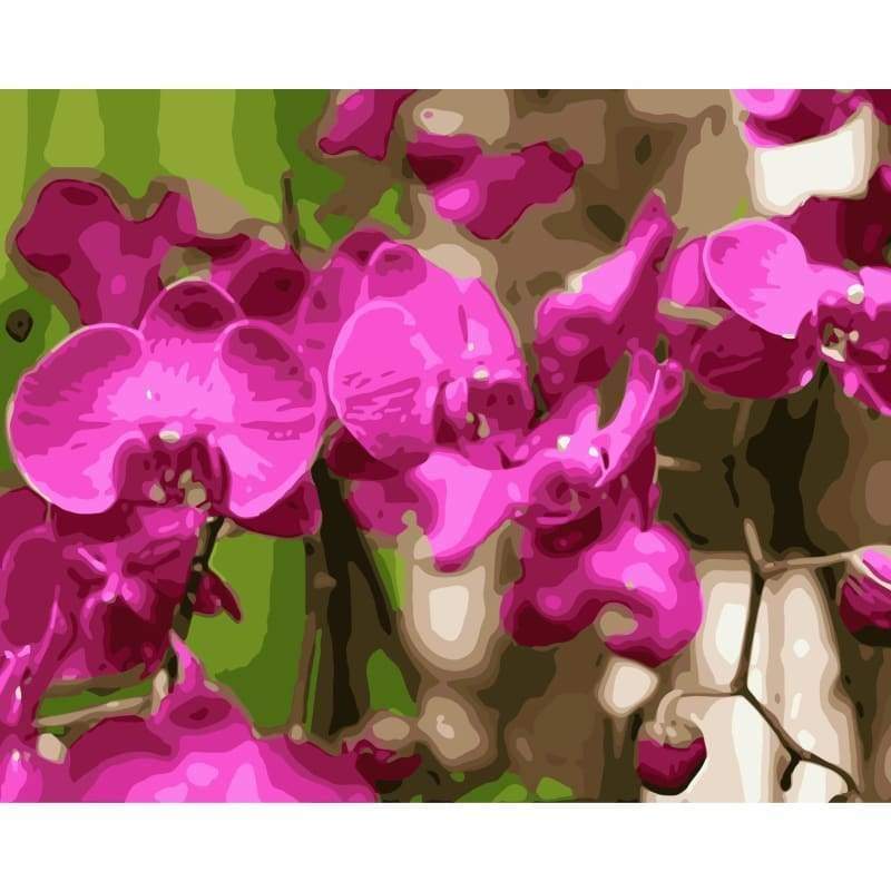Orchid Diy Paint By Numbers Kits WM-1181 - NEEDLEWORK KITS