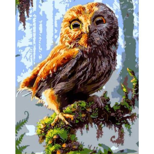 Owl Diy Paint By Numbers Kits ZXQ1434 - NEEDLEWORK KITS