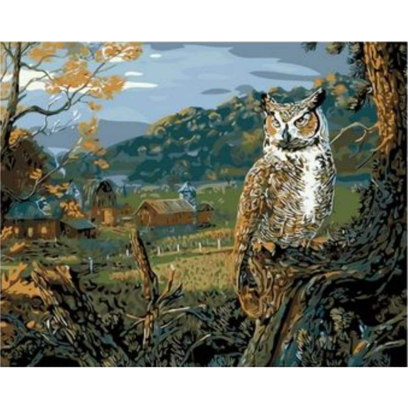 Owl Diy Paint By Numbers Kits ZXQ1839 - NEEDLEWORK KITS