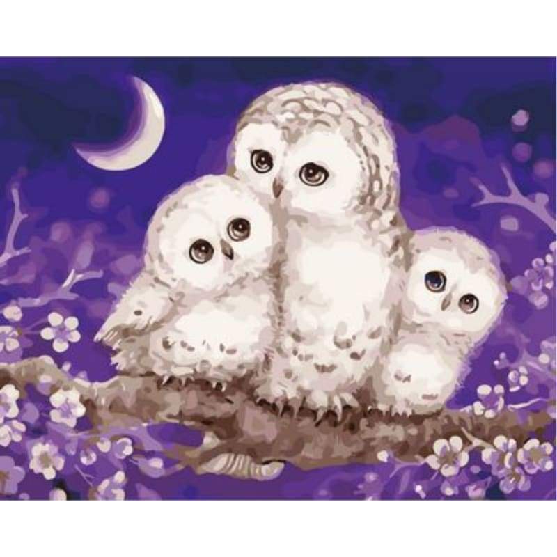 Owl Diy Paint By Numbers Kits ZXQ2610 - NEEDLEWORK KITS