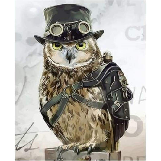 Owl Diy Paint By Numbers Kits ZXQ2685 - NEEDLEWORK KITS