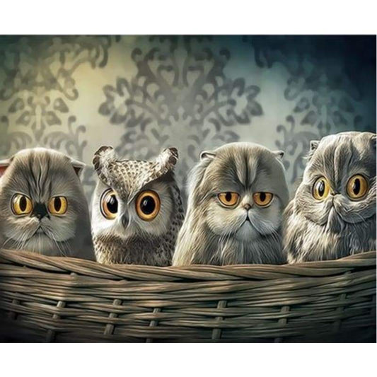 Owl Diy Paint By Numbers Kits ZXQ3334 - NEEDLEWORK KITS