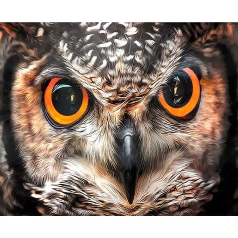 Owl Diy Paint By Numbers Kits ZXQ3612 - NEEDLEWORK KITS