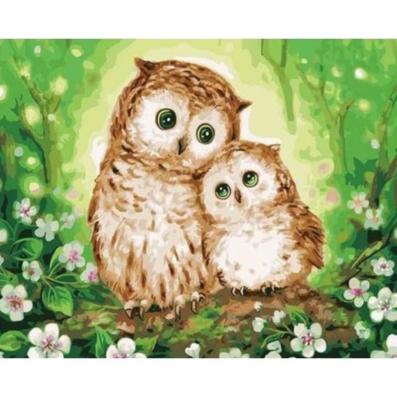 Owl Paint By Numbers Kits VM90932 - NEEDLEWORK KITS