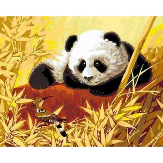 Panda Diy Paint By Numbers Kits ZXB348 - NEEDLEWORK KITS