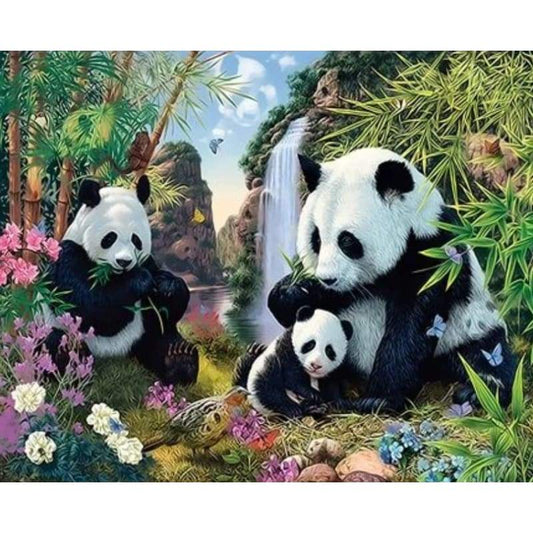 Panda Diy Paint By Numbers Kits ZXQ3585 VM80020 - NEEDLEWORK KITS