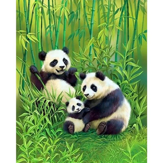 Panda Diy Paint By Numbers Kits ZXQ3854 - NEEDLEWORK KITS