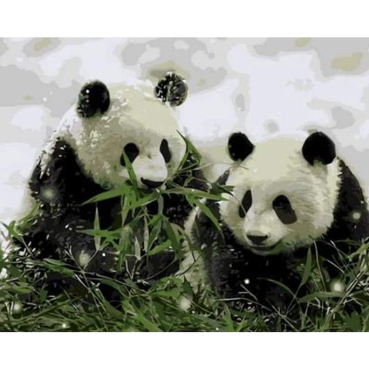 Panda Diy Paint By Numbers Kits ZXQ786 - NEEDLEWORK KITS