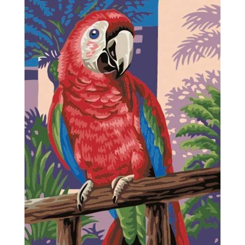 Parrot Diy Paint By Numbers Kits ZXB760 - NEEDLEWORK KITS
