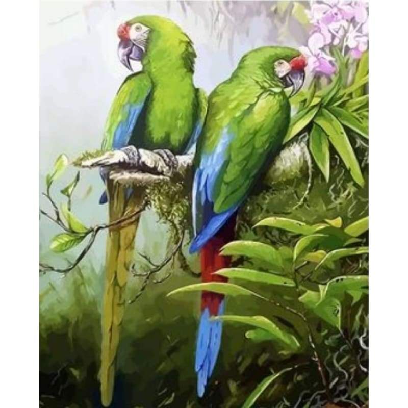 Parrot Diy Paint By Numbers Kits ZXQ2677 - NEEDLEWORK KITS