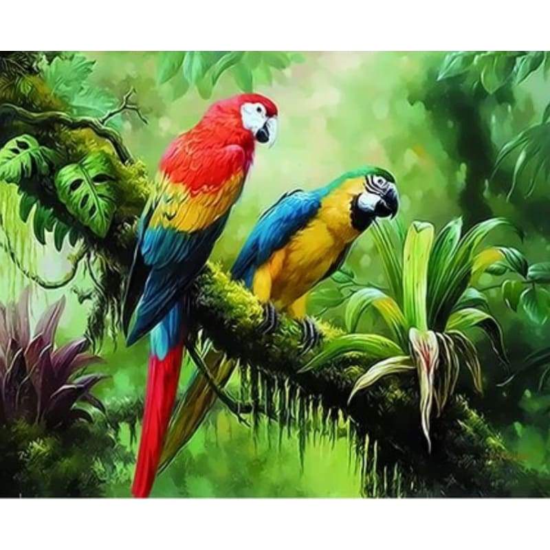 Parrot Diy Paint By Numbers Kits ZXQ3760 - NEEDLEWORK KITS