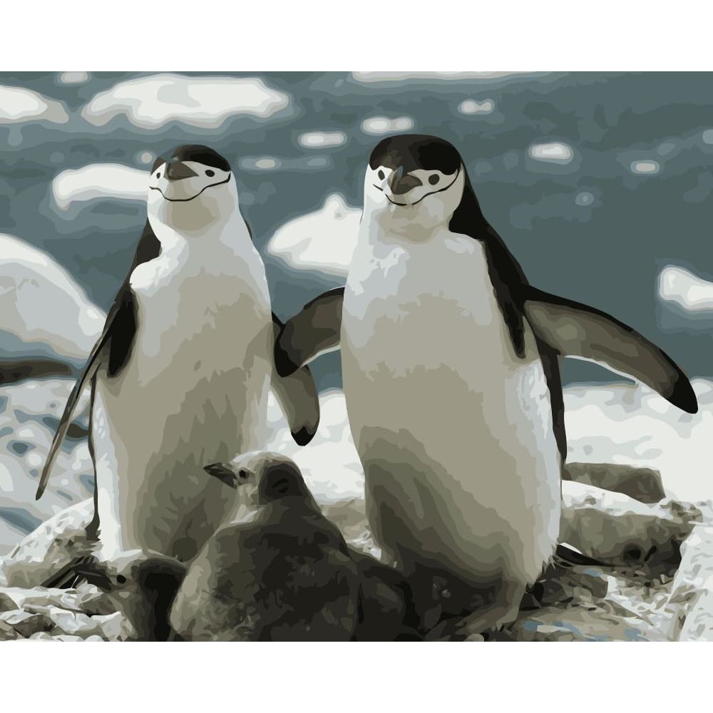 Penguin Diy Paint by Numbers Kits DIY PBN30123 - 2