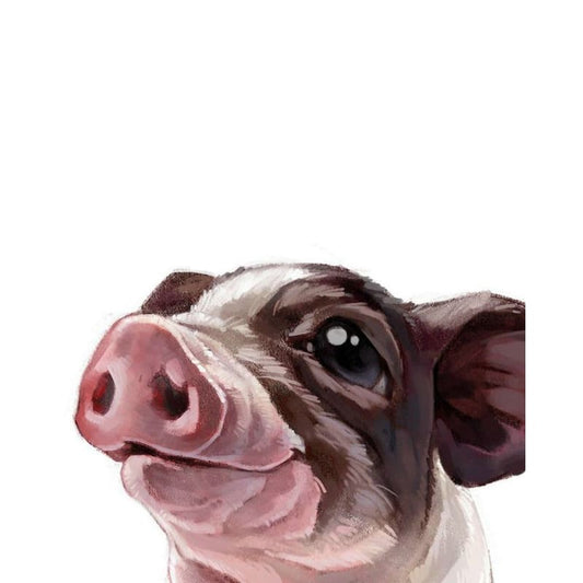 Pig Diy Paint By Numbers Kits YM-4050-315 - NEEDLEWORK KITS