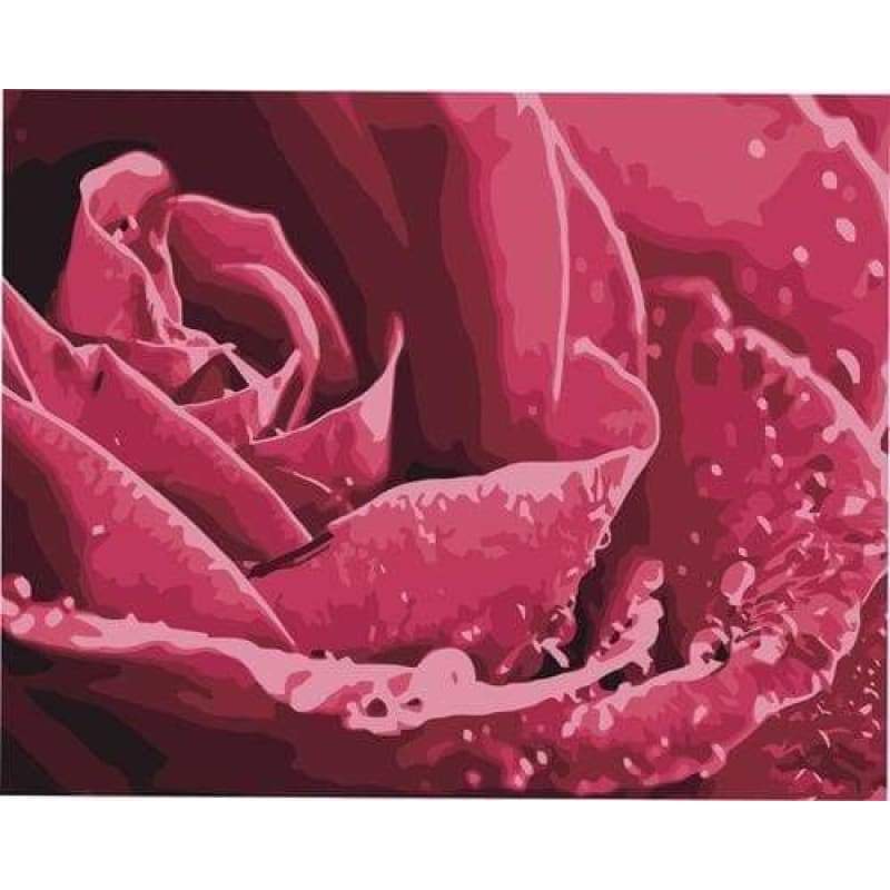 Plant Rose Diy Paint By Numbers Kits ZXB534 - NEEDLEWORK KITS