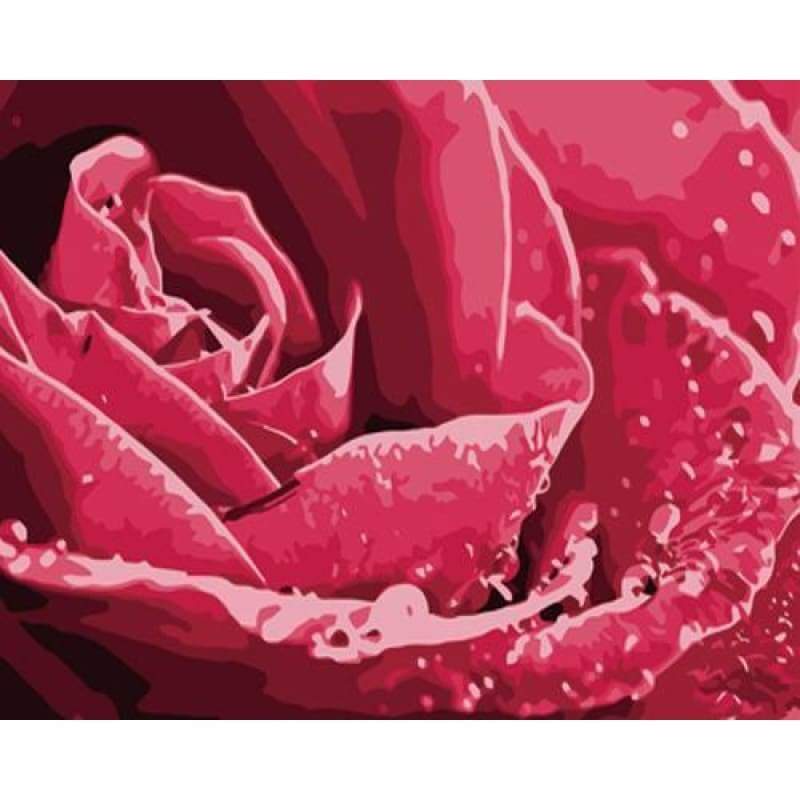 Plant Rose Diy Paint By Numbers Kits ZXZ-014 - NEEDLEWORK KITS