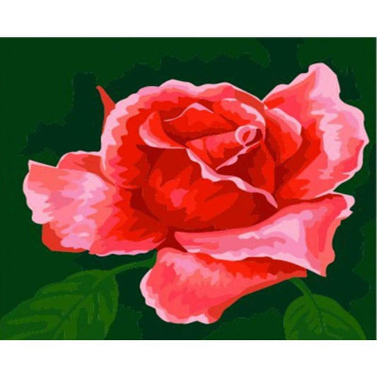 Plant Rose Diy Paint By Numbers Kits ZXZ-056 - NEEDLEWORK KITS