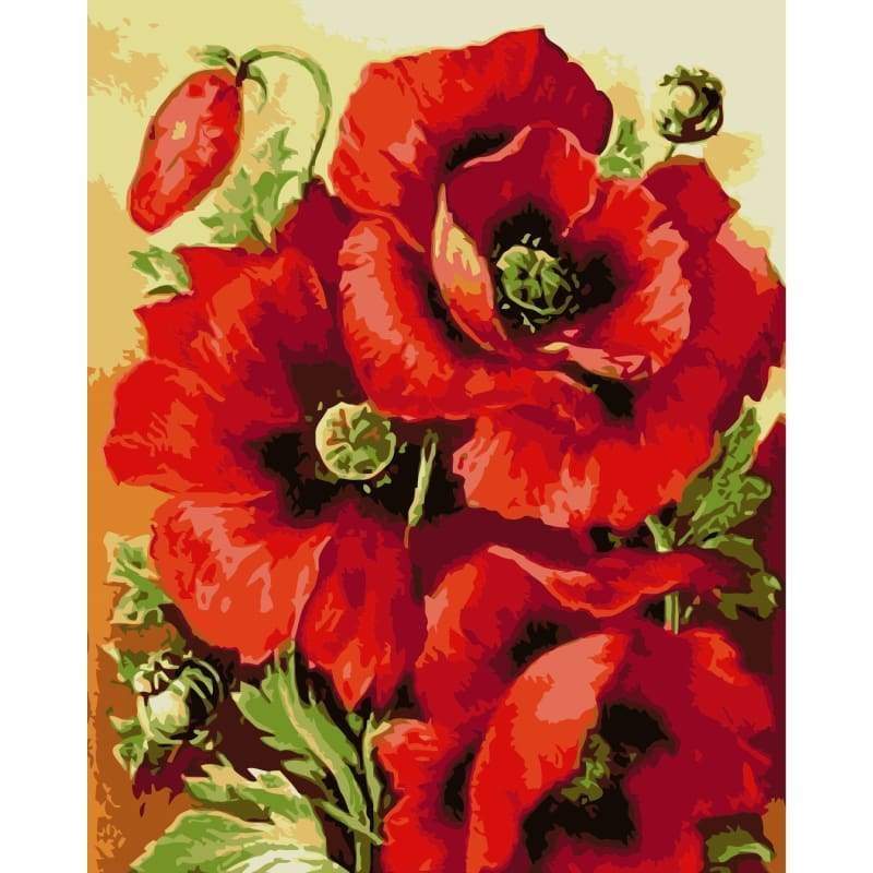Poppy Flower Diy Paint By Numbers Kits SY-4050-030 ZXQ1619 - NEEDLEWORK KITS