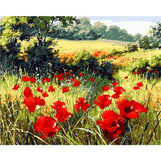 Poppy Flower Diy Paint By Numbers Kits WM-570 ZXQ919 - NEEDLEWORK KITS