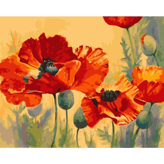 Poppy Flower Diy Paint By Numbers Kits WM-772 - NEEDLEWORK KITS