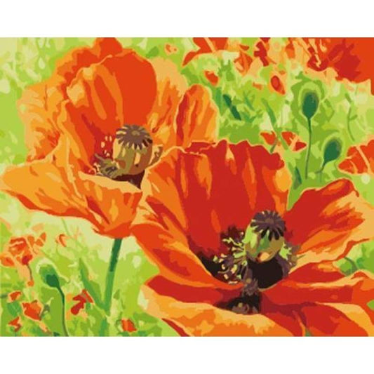Poppy Flower Diy Paint By Numbers Kits ZXB638 - NEEDLEWORK KITS