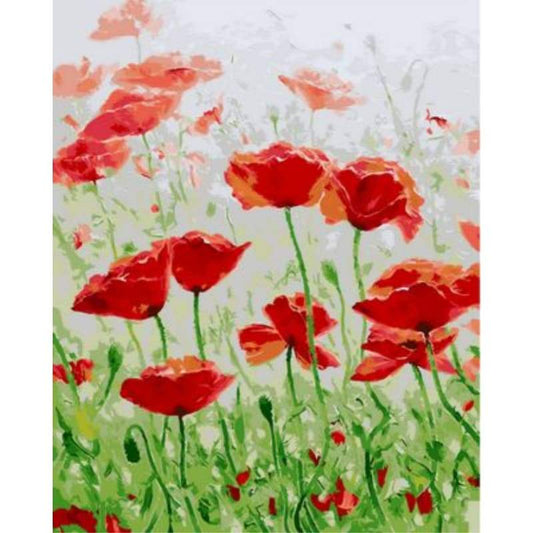 Poppy Flower Diy Paint By Numbers Kits ZXQ1042 - NEEDLEWORK KITS