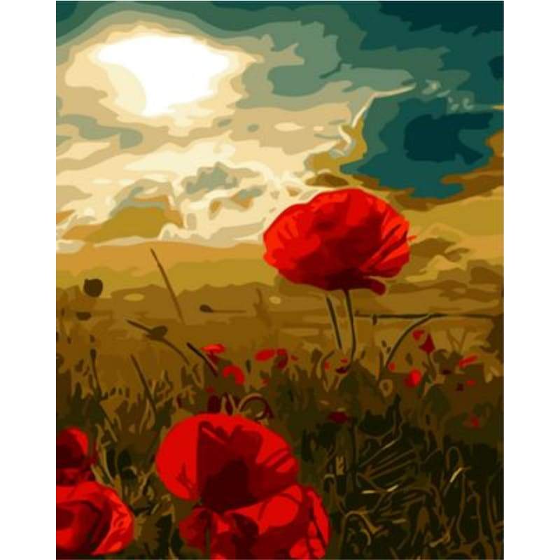 Poppy Flower Diy Paint By Numbers Kits ZXQ1099 - NEEDLEWORK KITS