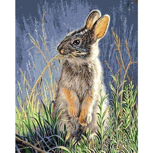 Rabbit Diy Paint By Numbers Kits VM95956 - NEEDLEWORK KITS