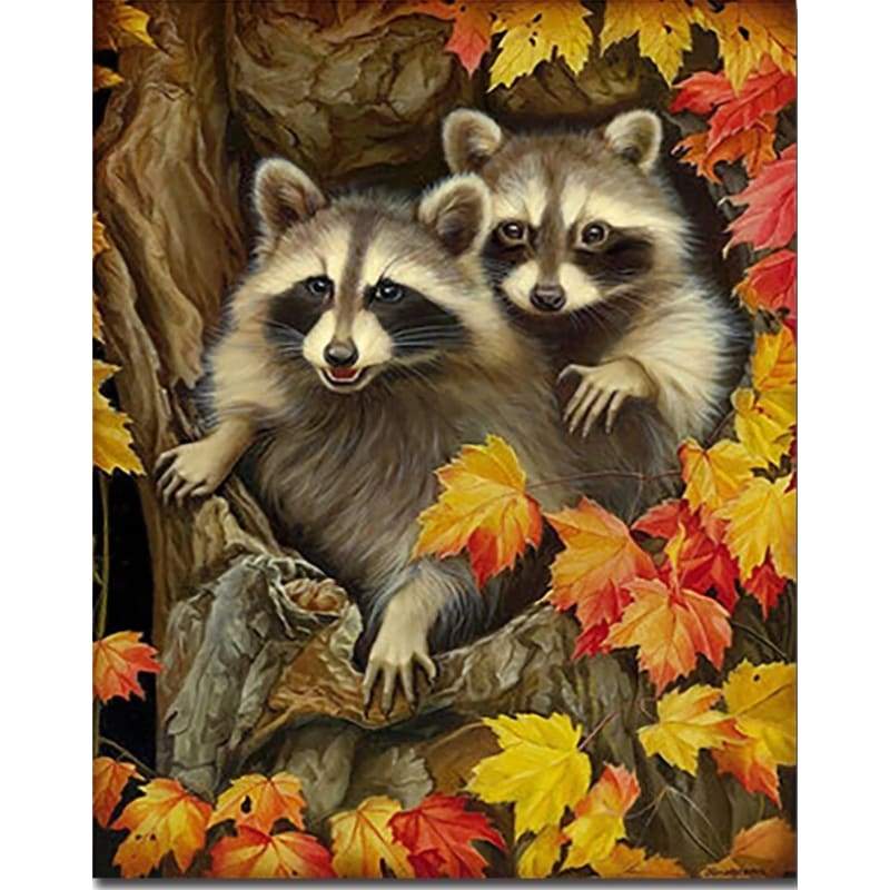 Raccoon Diy Paint By Numbers Kits PBN30106 - NEEDLEWORK KITS