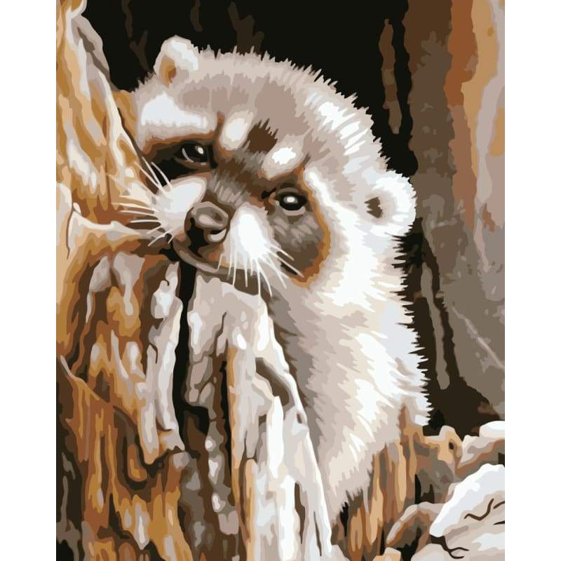 Raccoon Diy Paint By Numbers Kits WM-547 - NEEDLEWORK KITS