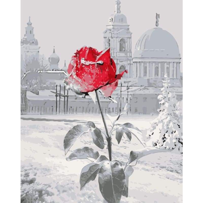 Red Rose Diy Paint By Numbers Kits SY-4050-066 - NEEDLEWORK KITS