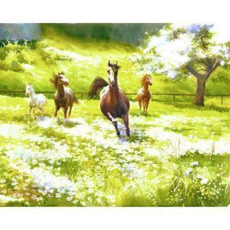 Running Horse Diy Paint By Numbers Kits PBN90624 - NEEDLEWORK KITS