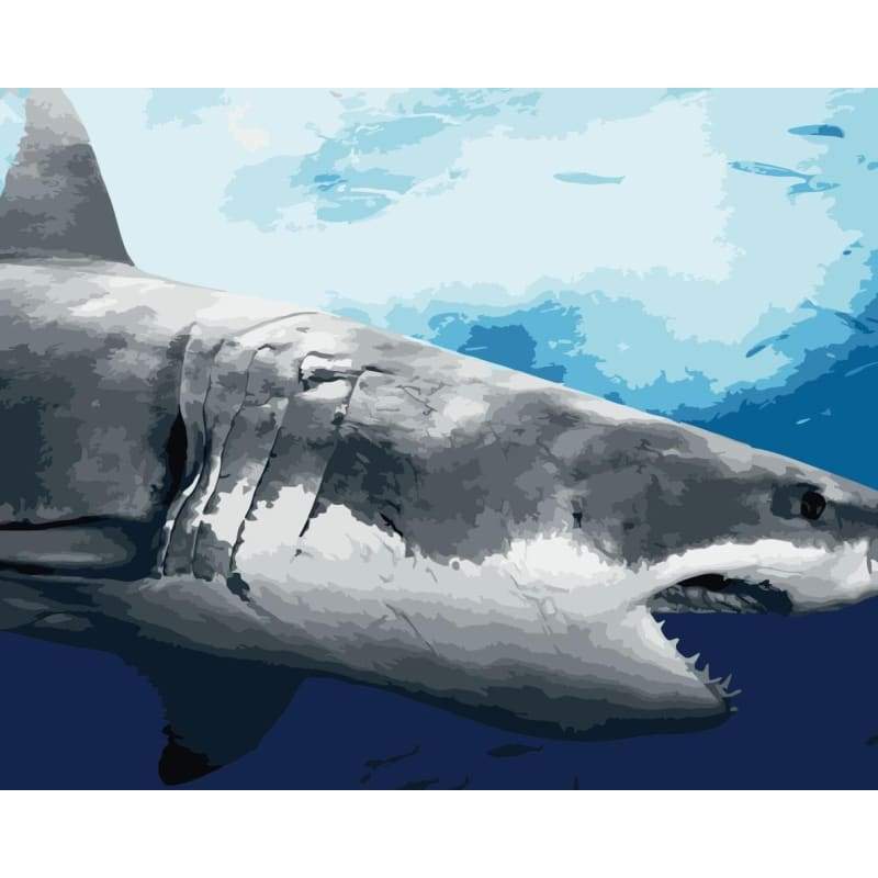 Shark Diy Paint By Numbers Kits WM-1076 - NEEDLEWORK KITS