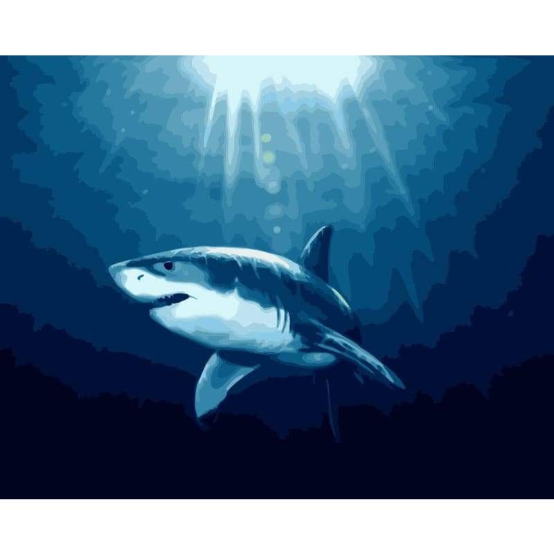 Shark Diy Paint By Numbers Kits WM-1242 - NEEDLEWORK KITS