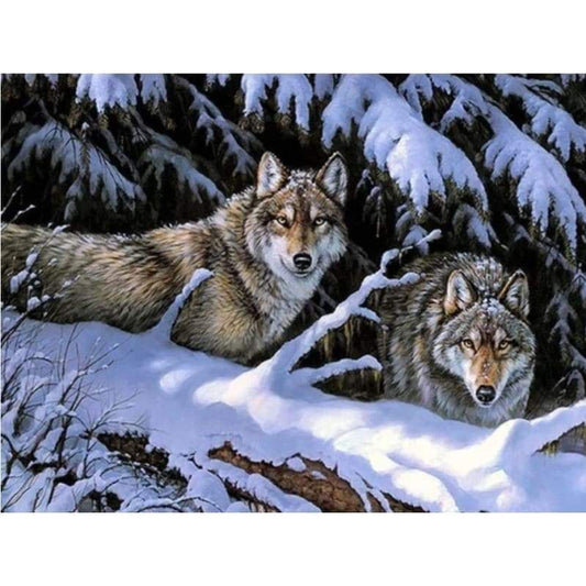 Snow Wolf Diy Paint By Numbers Kits PBN55712 - NEEDLEWORK KITS