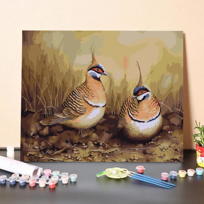 Spinifex Pigeons