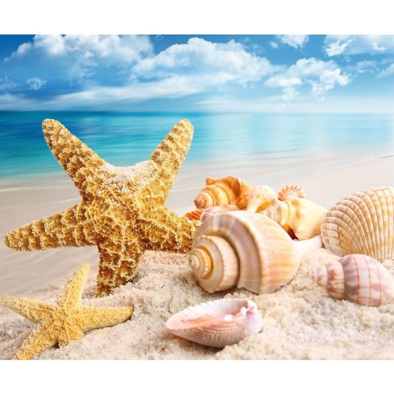 Starfish Beach Summer DIY Paint By Numbers Kits VM30248 - 2