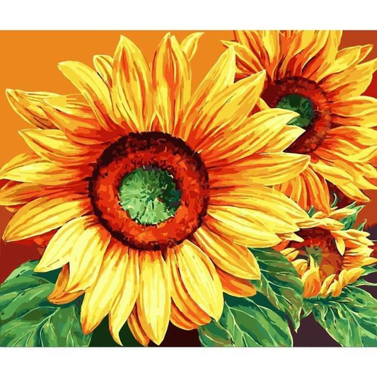 Sunflower Diy Paint By Numbers Kits YM-4050-161 - NEEDLEWORK KITS