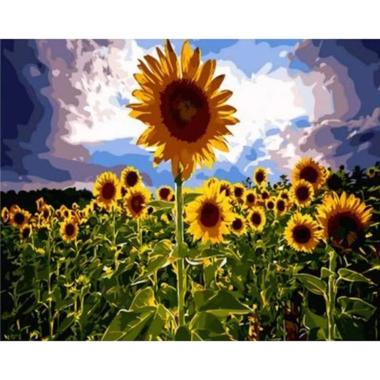 Sunflower  Diy Paint By Numbers Kits ZXQ1802 - NEEDLEWORK KITS