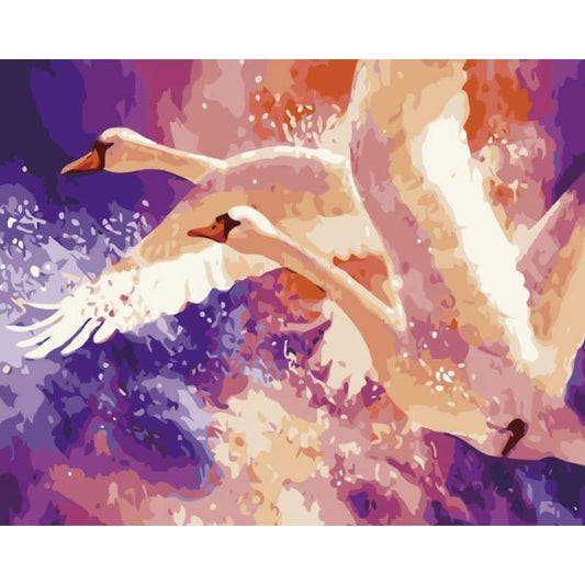 Swan Diy Paint By Numbers Kits PBN30050 - NEEDLEWORK KITS